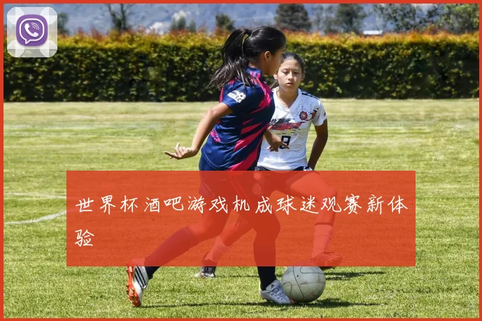 世界杯酒吧游戏机成球迷观赛新体验