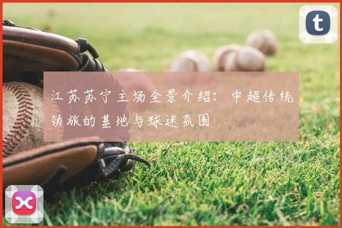 江苏苏宁主场全景介绍：中超传统劲旅的基地与球迷氛围