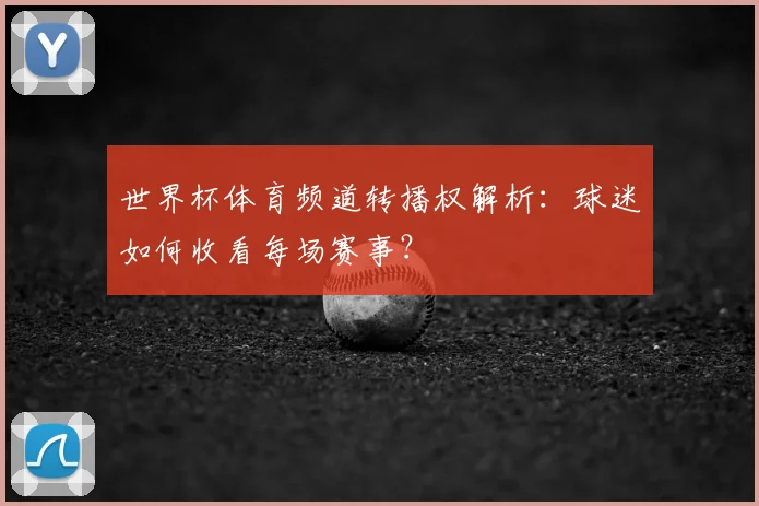 世界杯体育频道转播权解析：球迷如何收看每场赛事？