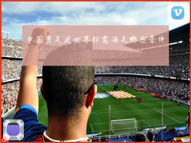 中国男足进世界杯需满足哪些条件