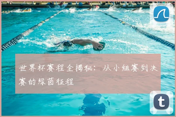世界杯赛程全揭秘：从小组赛到决赛的绿茵征程
