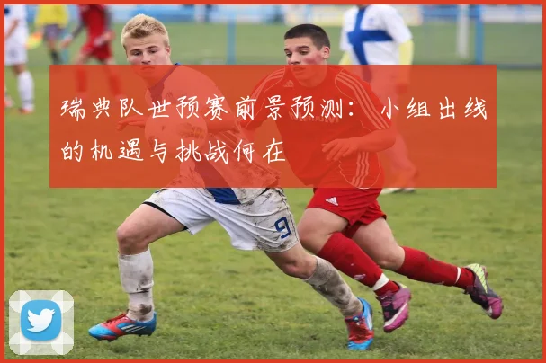 瑞典队世预赛前景预测：小组出线的机遇与挑战何在