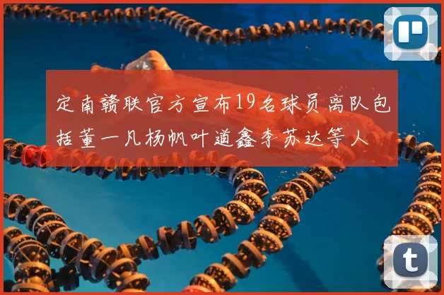 定南赣联官方宣布19名球员离队包括董一凡杨帆叶道鑫李苏达等人