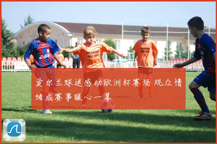 爱尔兰球迷感动欧洲杯赛场 观众情绪成赛事暖心一幕