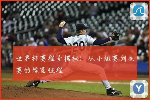 世界杯赛程全揭秘:从小组赛到决赛的绿茵征程